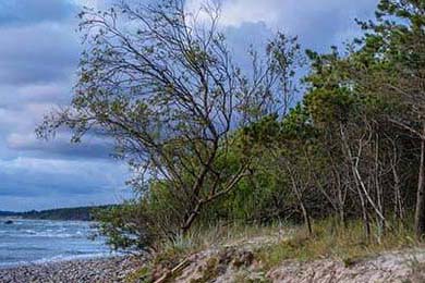 法国公开赛落幕，冠军选手表现惊艳，法国公开赛落幕,冠军选手表现惊艳吗