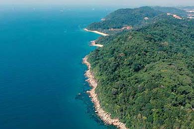 中澳女队混合接力巅峰对决，中澳女篮