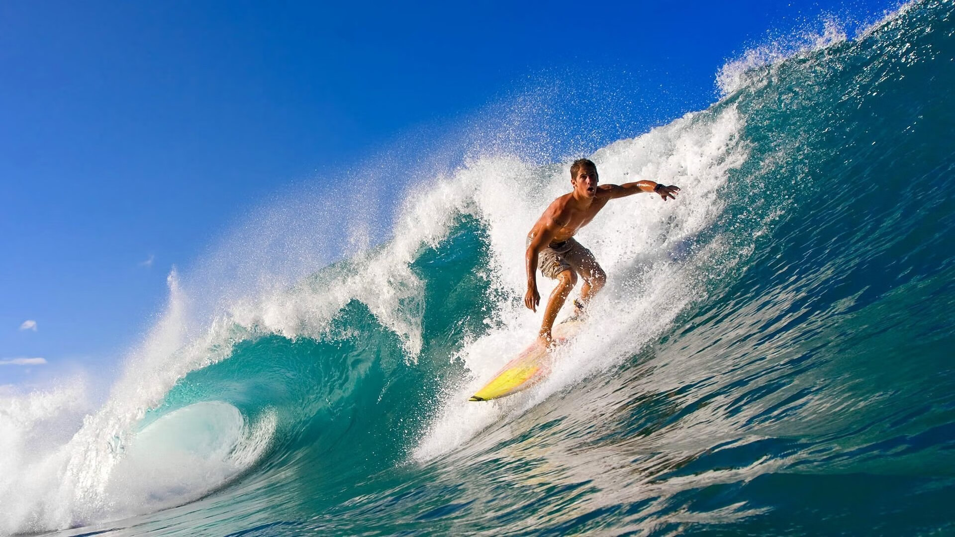 体育文化节展演民族体育焕发新活力，体育文化艺术节主题