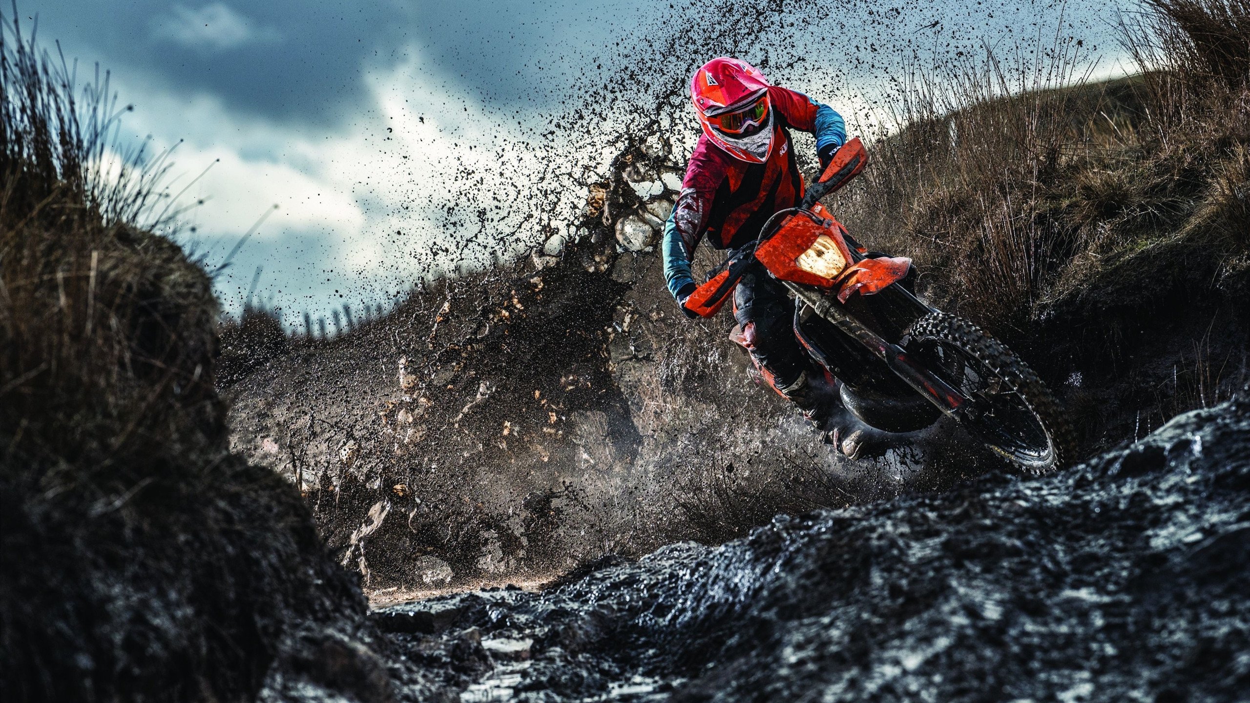 李娜与同代球员聚会回忆青春岁月，李娜hm